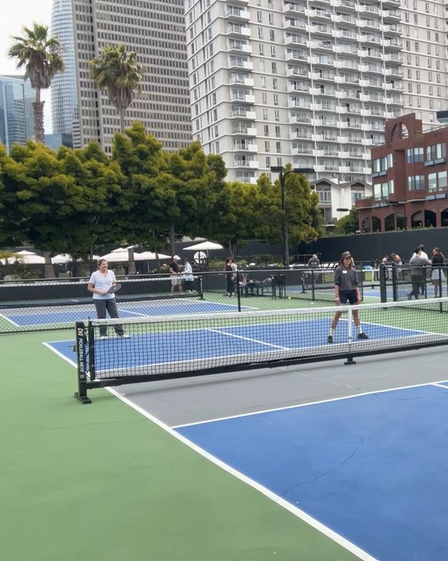 Courts at a city club, palms and towers behind
